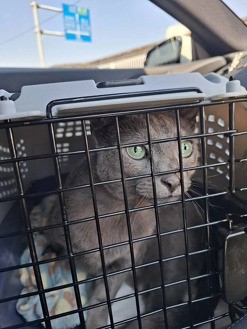 ４回目の放射線治療をしてきました。