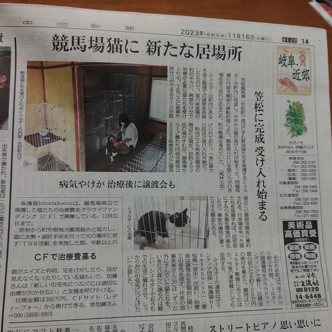 岐阜新聞さんに掲載していただきました
