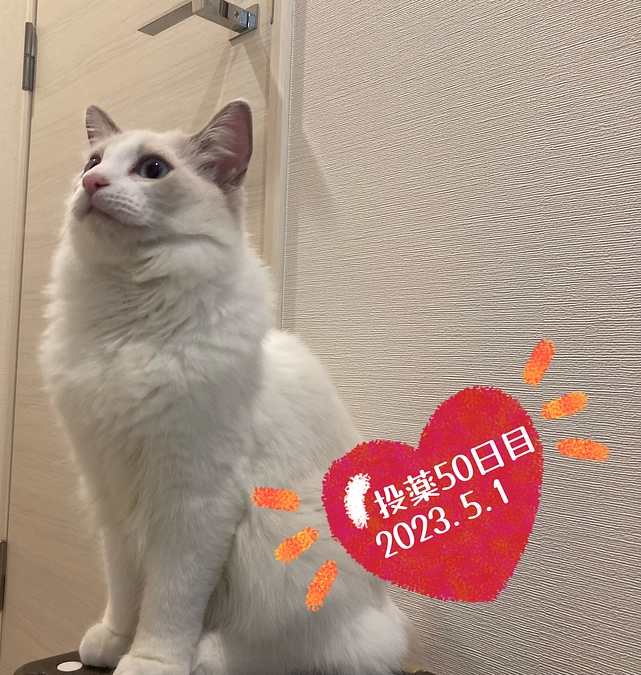 投薬５０日目(2023.5.1)&ご支援のお知らせ