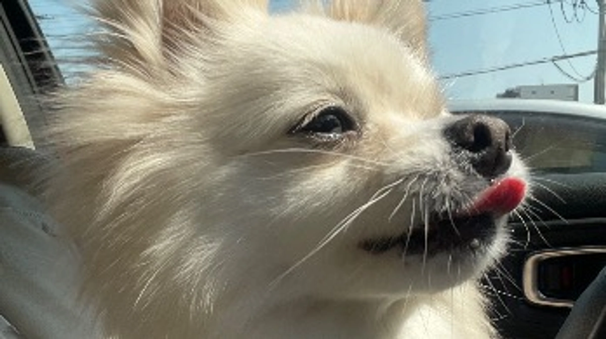 退院しました🏥