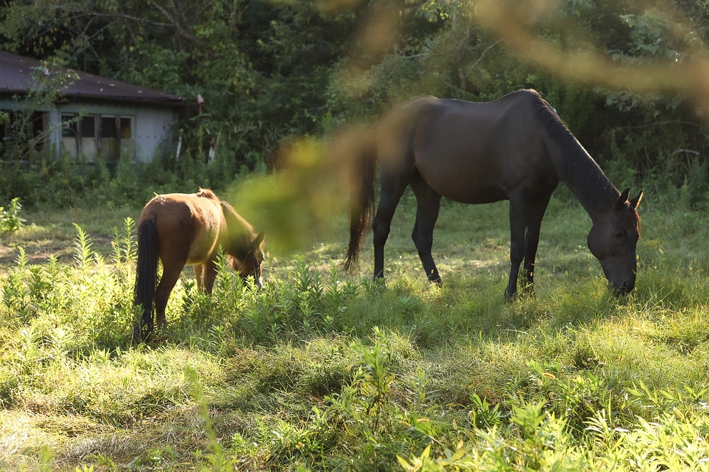 セカンドゴールの目標金額を達成することができました・・・！