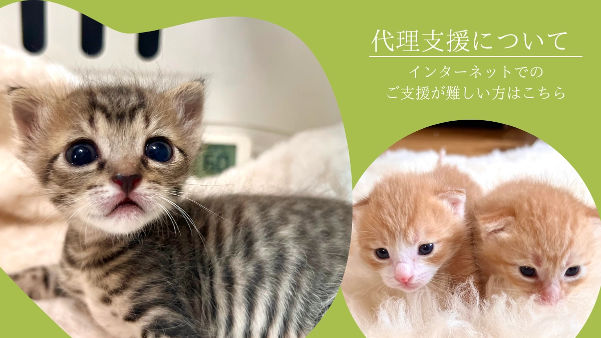 代理支援について 〜インターネットでのご支援が難しい方へ〜