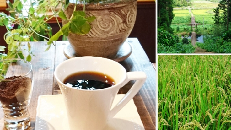 坪沼産のお米で作られた体に優しい『お米の珈琲』をお届けしたい