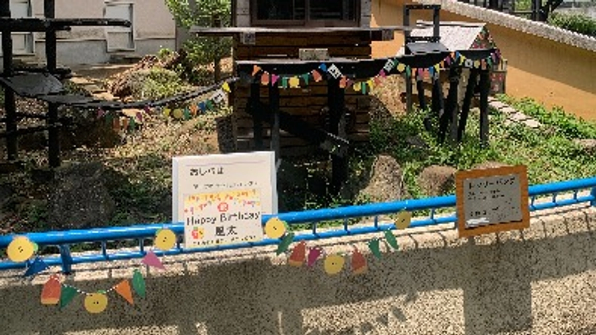 風太21歳スペシャルお食事プレゼント&職員メッセージ動画（レッサーパンダ担当）