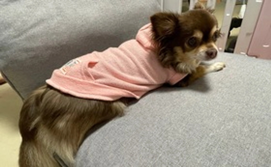 ココちゃん応援①