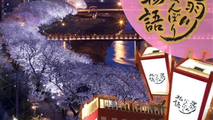 【足羽川ぼんぼり】福井の美しい桜並木にこれからも希望の灯りを