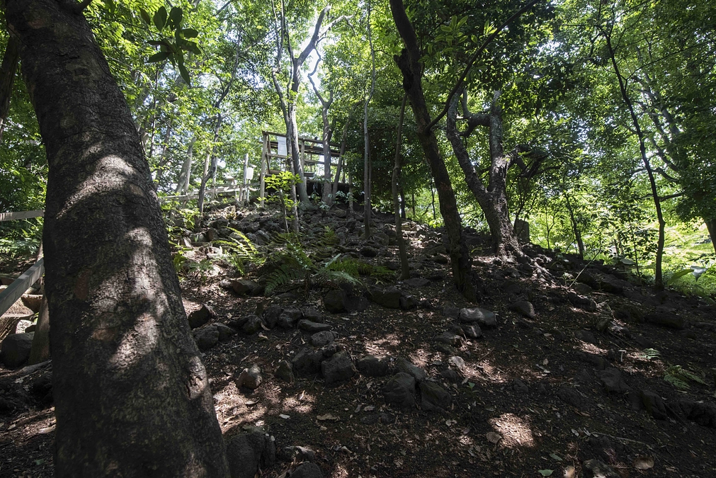 都内のおすすめ富士塚　その６　高田富士