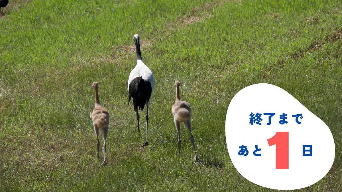 【あと1日！】第一目標を達成しました！！！