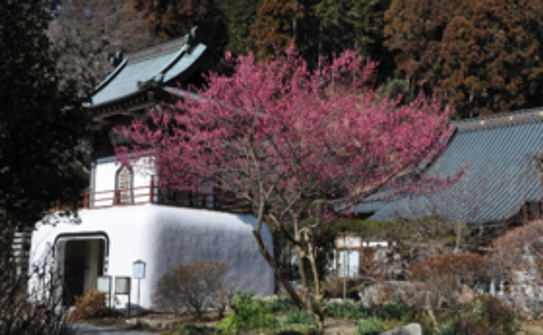 【全力応援プラン】あなたの応援が力になります！