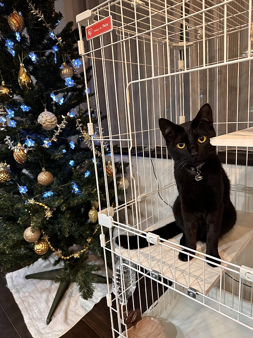 皆さまご支援ありがとうございました