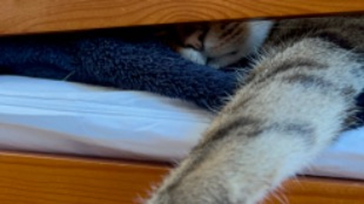 【今日のなっちゃん】5月21日