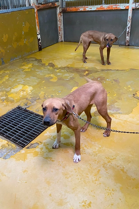 クラウドファンディングも残り3週間｜1/15（水）までに1,000万円達成を目標にしています！