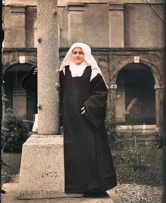 2023年をもちまして当プロジェクトを解散いたします