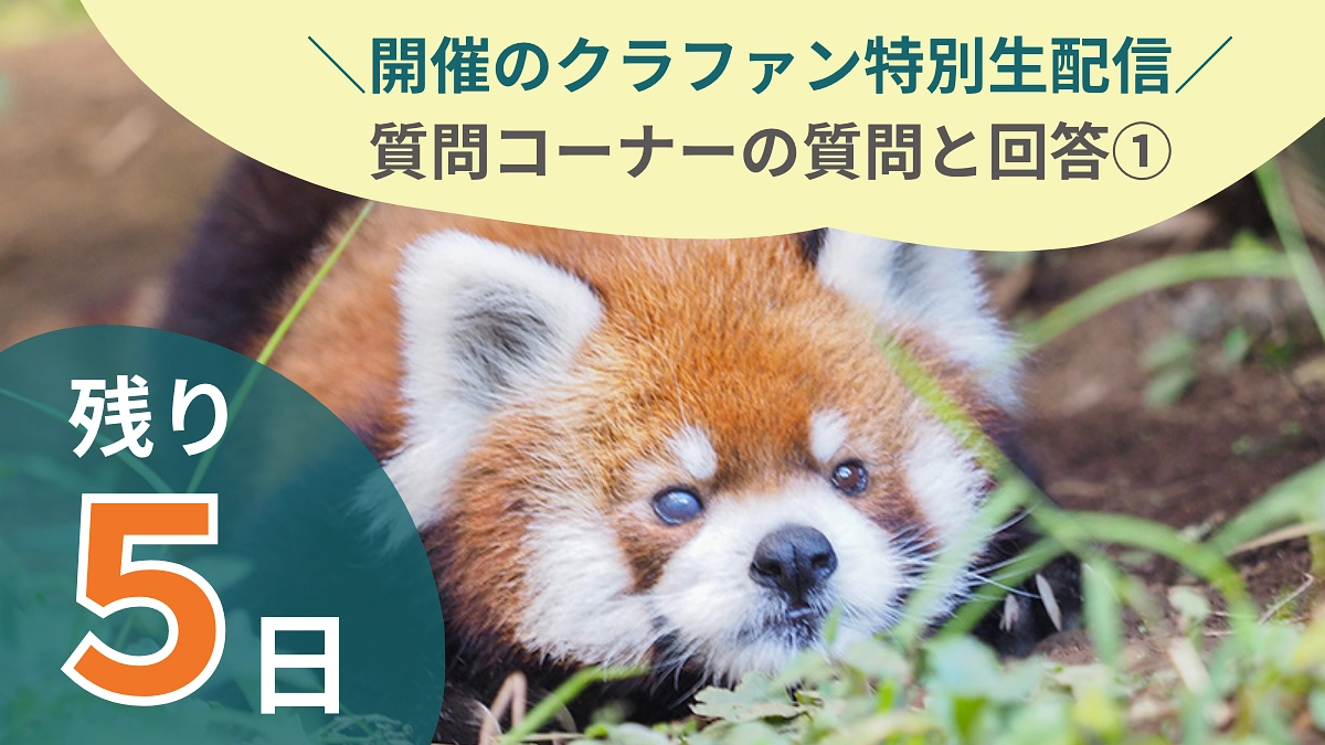 残り５日！7/21開催のクラファン特別生配信の質疑応答を文章で紹介①