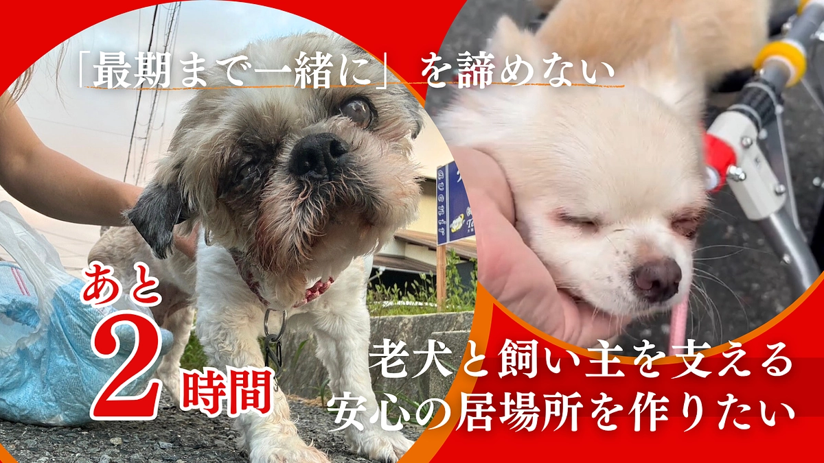 【あと2時間で終了！】絶対に1560万を超えて未来を切り拓く！