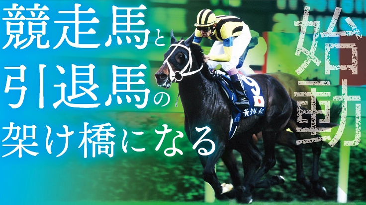 東映AG×角居調教師｜競走馬と引退馬の名馬グッズプロジェクト（東映