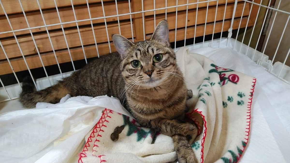 一緒に過ごした時間は私たちにとって何にも変えられない大きな大きな“宝物”でした