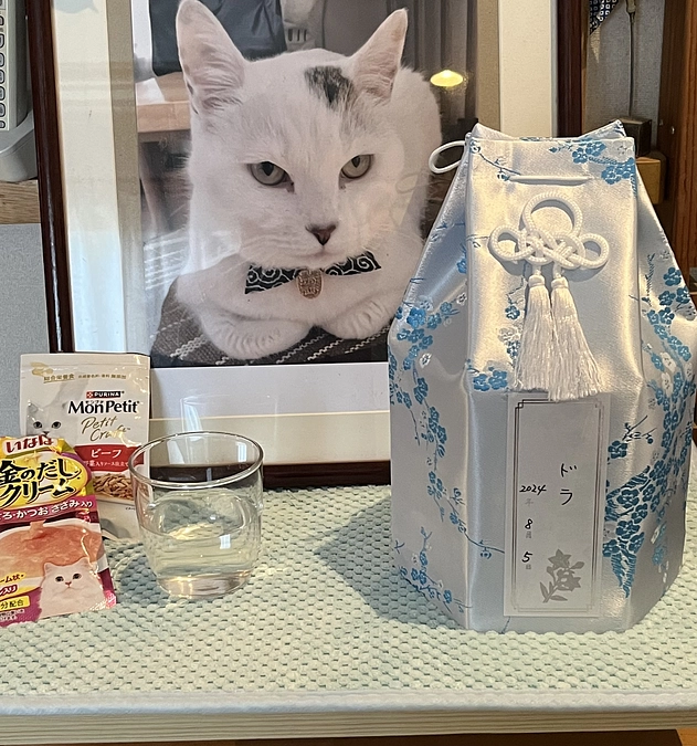 8月5日ドラちゃんが天国に旅立ちました。