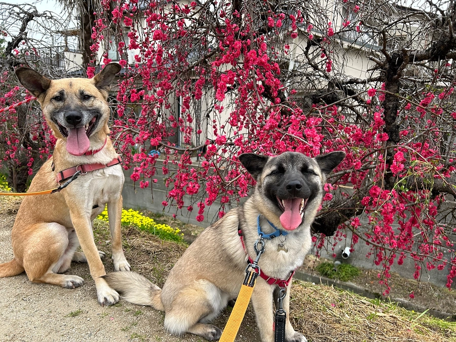 新施設建設に向けての近況報告