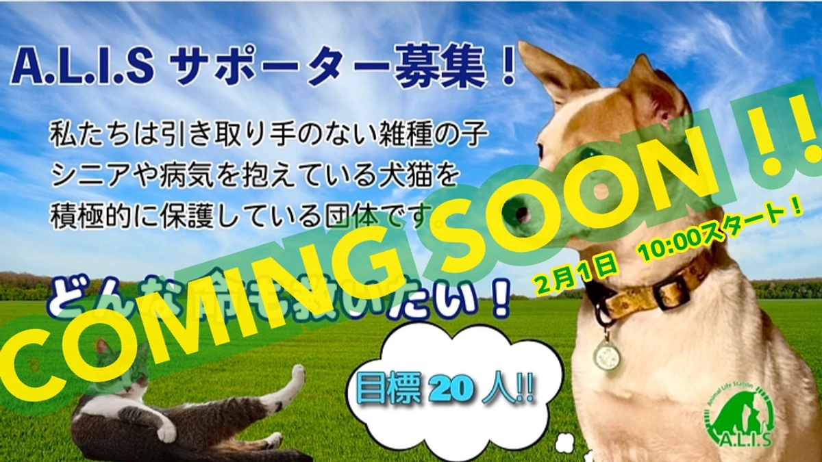 2月1日 10:00〜 アリスサポーター募集開始！