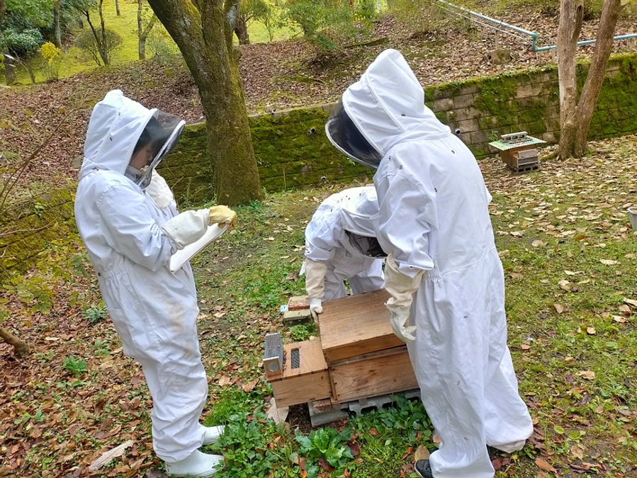 宮城学院女子大学　MGみつばち事業　初参加！