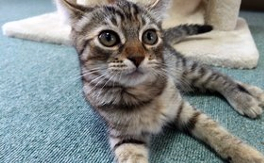 柚の家堪能コース ※11月17日アイテム追加しました。