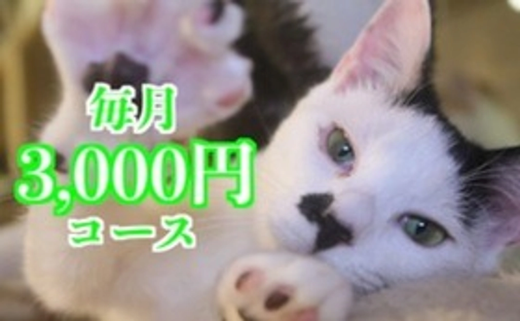 毎月応援3,000円コース