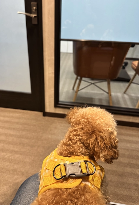 今月の通院日でした。（次回4/19CT・MRI検査です）