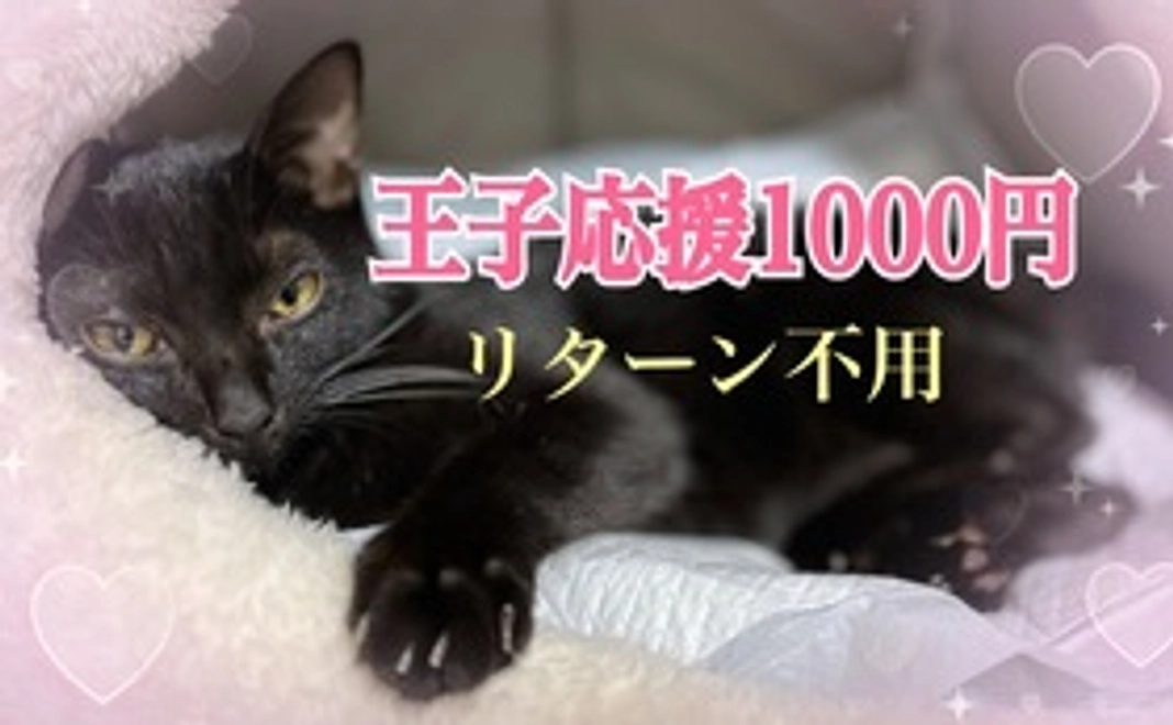 王子応援1000リターン不要