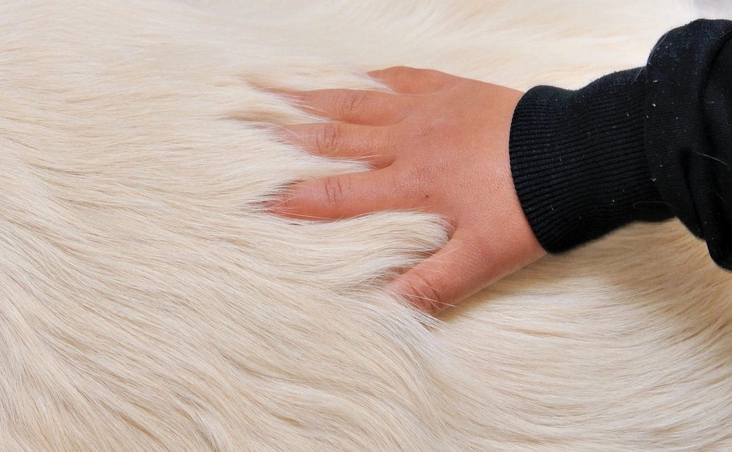 「1人分サポート」シンプル支援