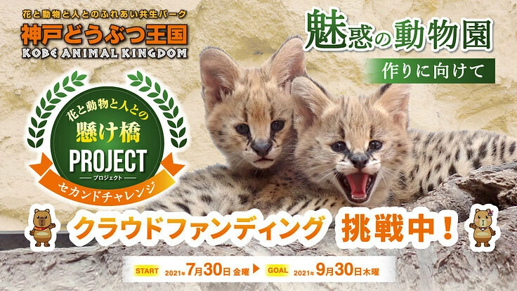 神戸どうぶつ王国｜花と動物と人との懸け橋PJ セカンドチャレンジ