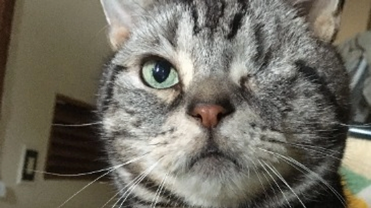 ビックリ！！！！