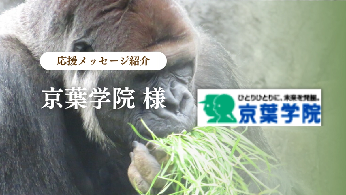 京葉学院様からの応援メッセージのご紹介