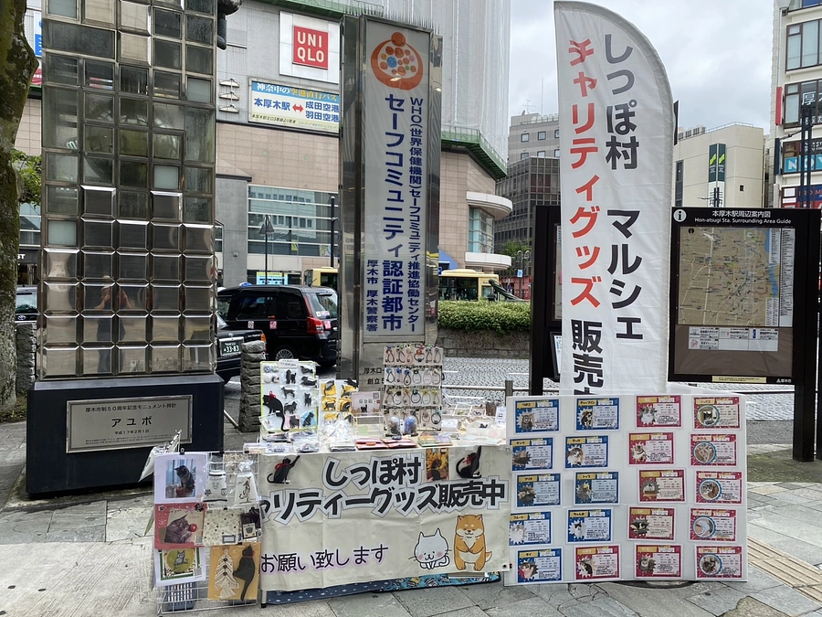 6月のしっぽ村活動報告