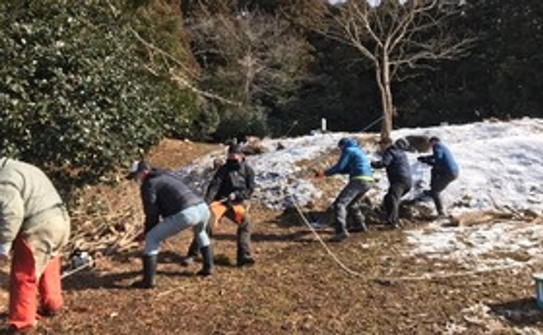 感謝のメールと活動報告