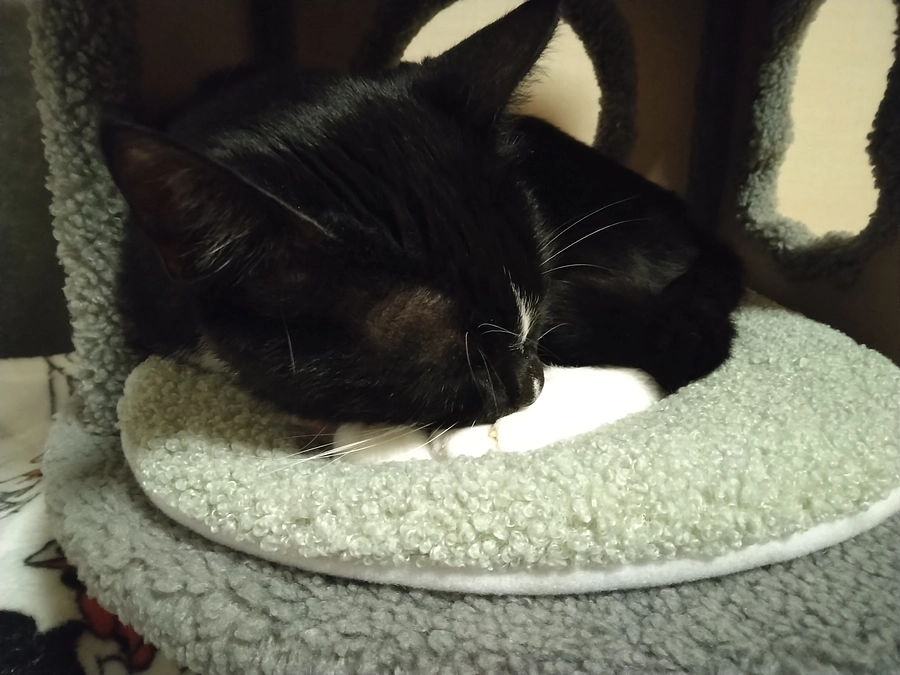 4/19はなちゃんの様子