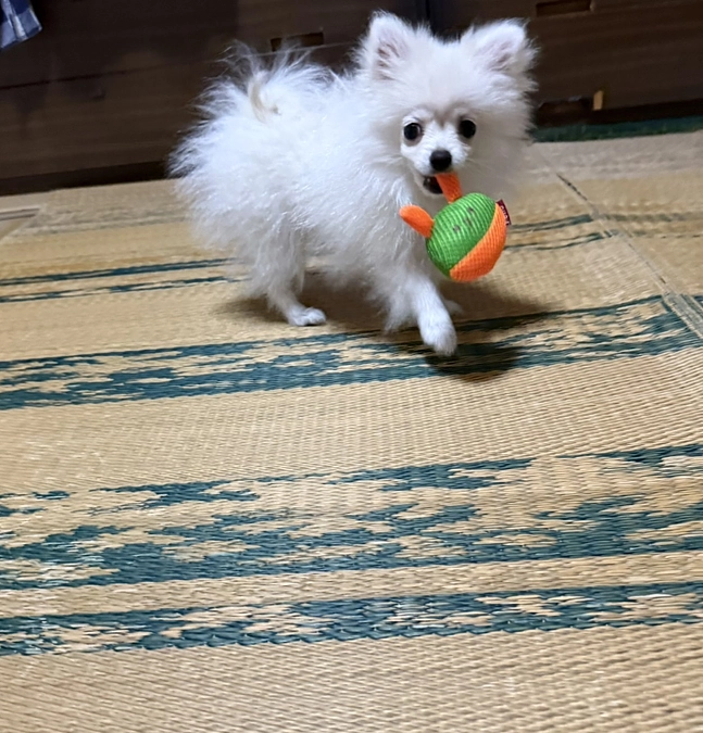 2025.9月　活動報告です✦