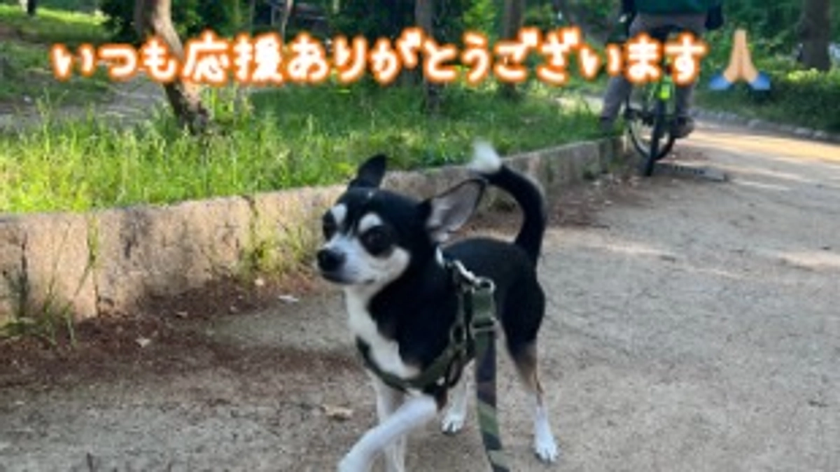 現状報告と感謝の気持ち