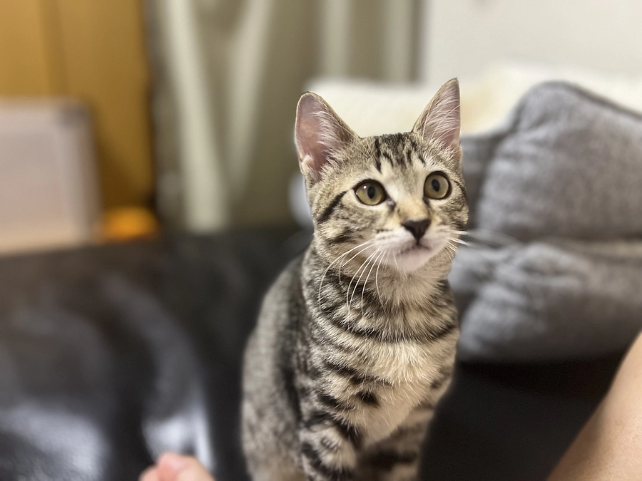 58gの天使 ソナちゃんトライアル出発！