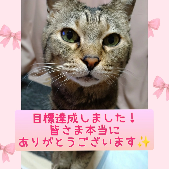 目標達成のお礼