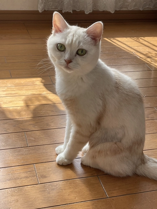 通院に行ってきました！