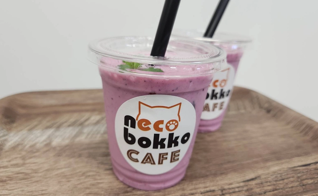 ドリンクで応援コース