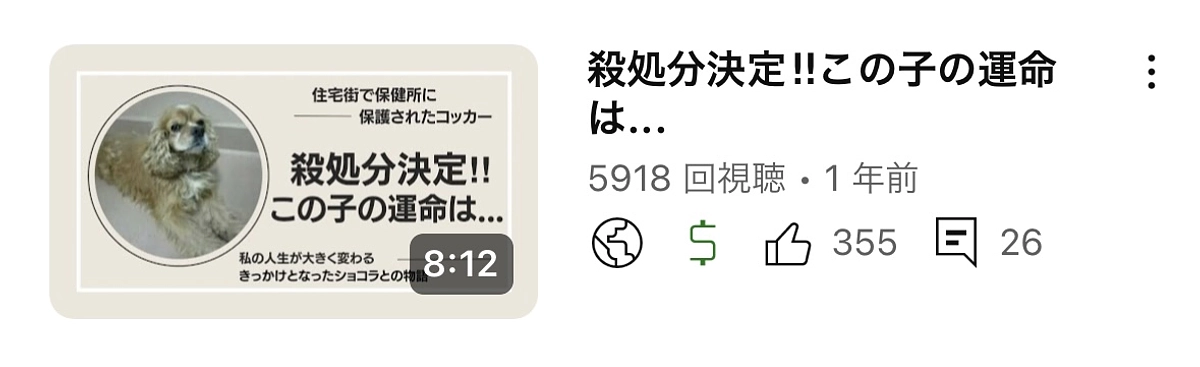 殺処分決定された犬の運命は??
