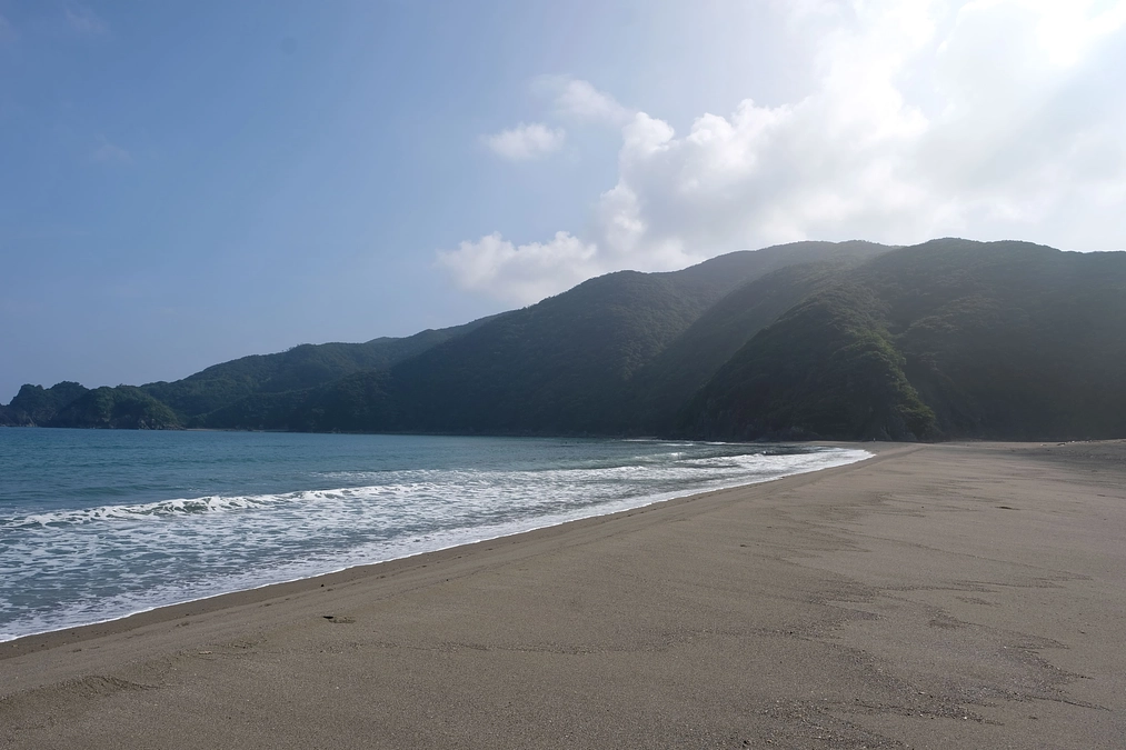 控訴審進行状況のご報告