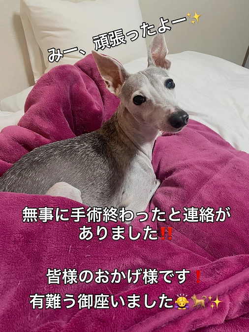 無事手術成功しました！！！！😂