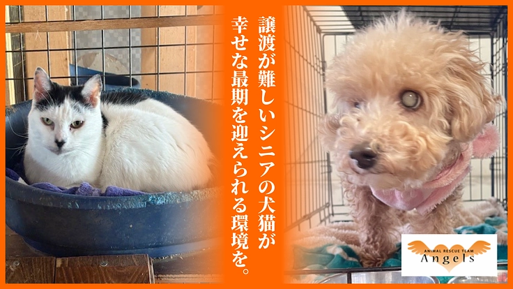 どうか温かな最期を…。高齢犬猫たちのための終生飼養施設をつくりたい