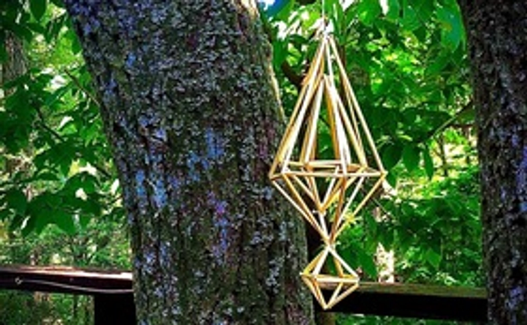 古代小麦の麦わらで作る「ヒンメリ」初心者キット+サンクスレター+活動報告