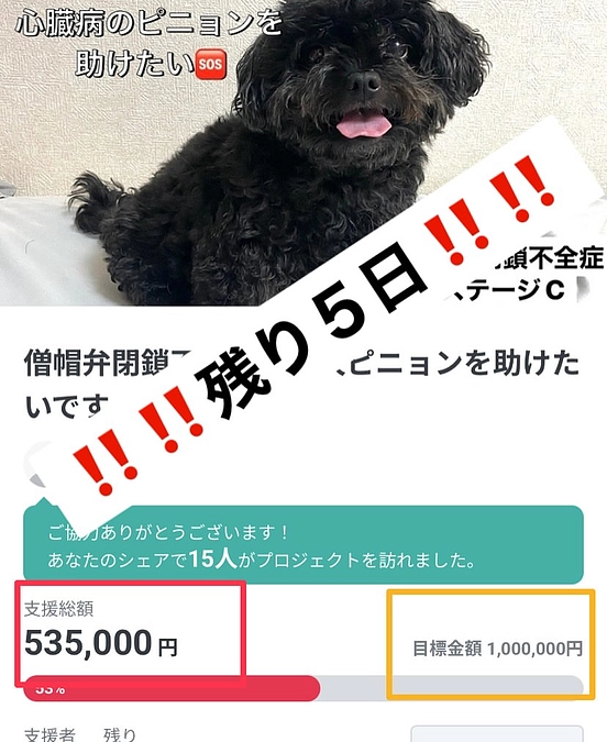 ‼️‼️クラファン終了まで残り５日‼️‼️