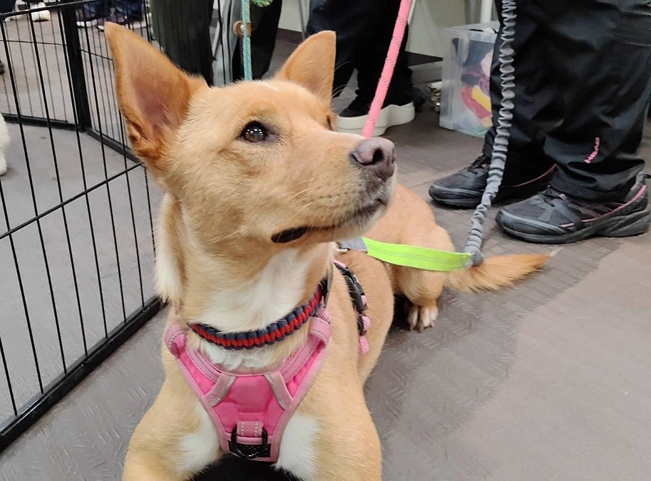 継続寄付の支援者さまが30人、ページ訪問者さまが400人を超えました。ありがとうございます！