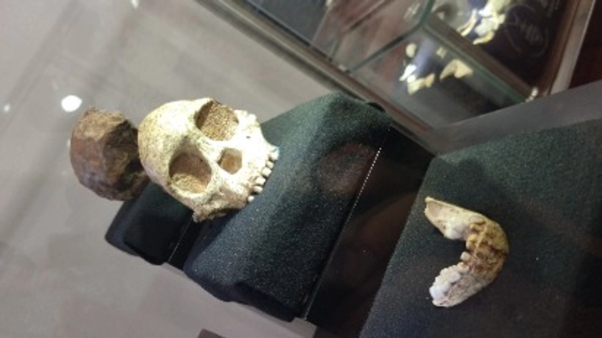 僕とタウングチャイルドとの出会い